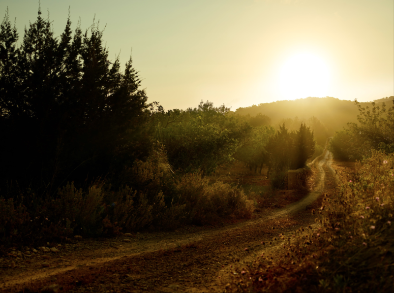 peluche74 alquiler producciones locaiton foto film granja ibiza españa00013