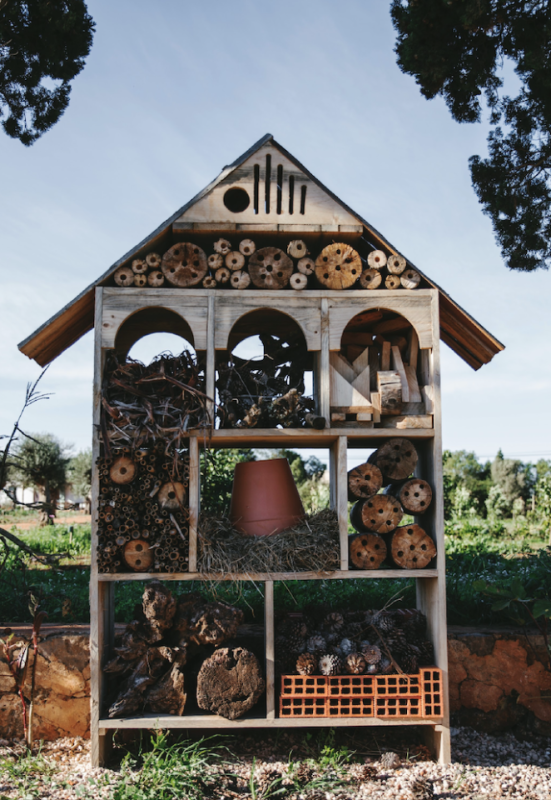 peluche74 alquiler producciones locaiton foto film granja ibiza spain00032