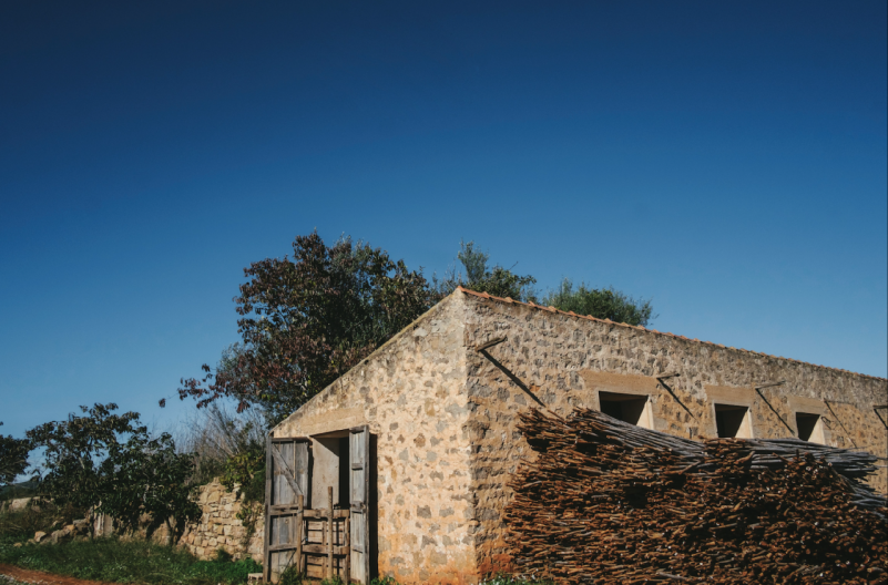 peluche74 alquiler producciones locaiton foto film granja ibiza spain00034