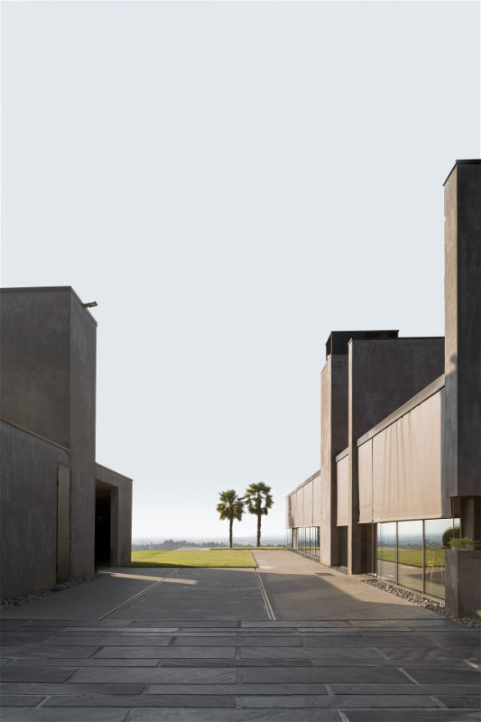 felpa74 rinoceronte 1