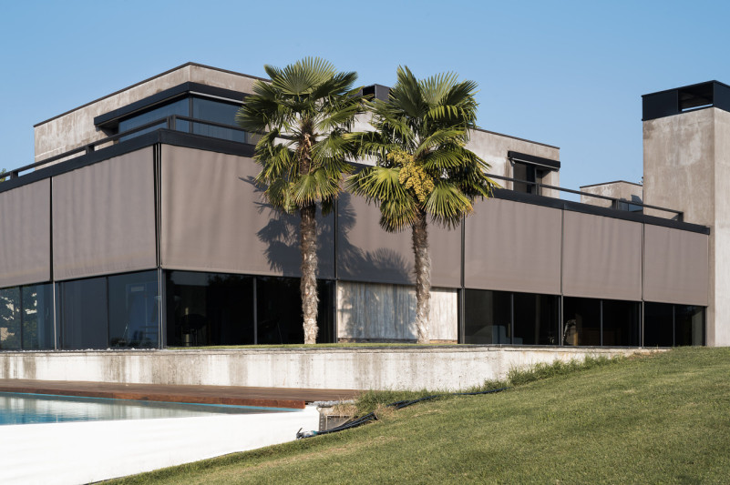 felpa74 rinoceronte 11 (1)