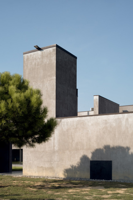 felpa74 rinoceronte 11 (2)