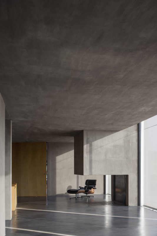 felpa74 rinoceronte 11