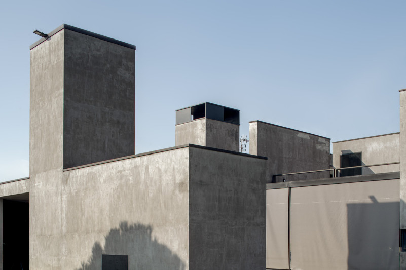 felpa74 rinoceronte 13