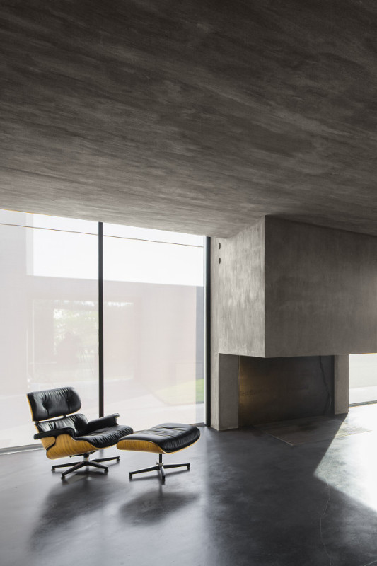 felpa74 rinoceronte 16 (3)