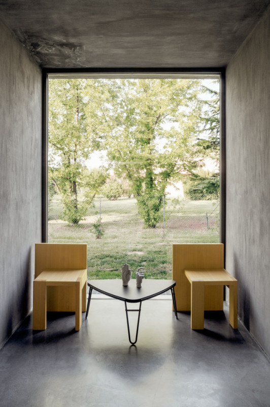 felpa74 rinoceronte 16 (4)