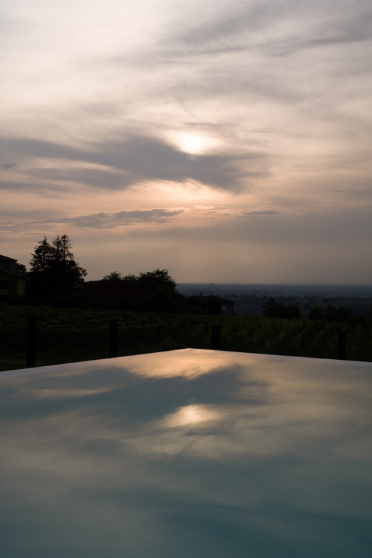 felpa74 rinoceronte 16 (5)