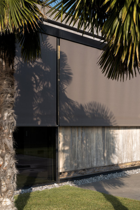 felpa74 rinoceronte 18 (1)