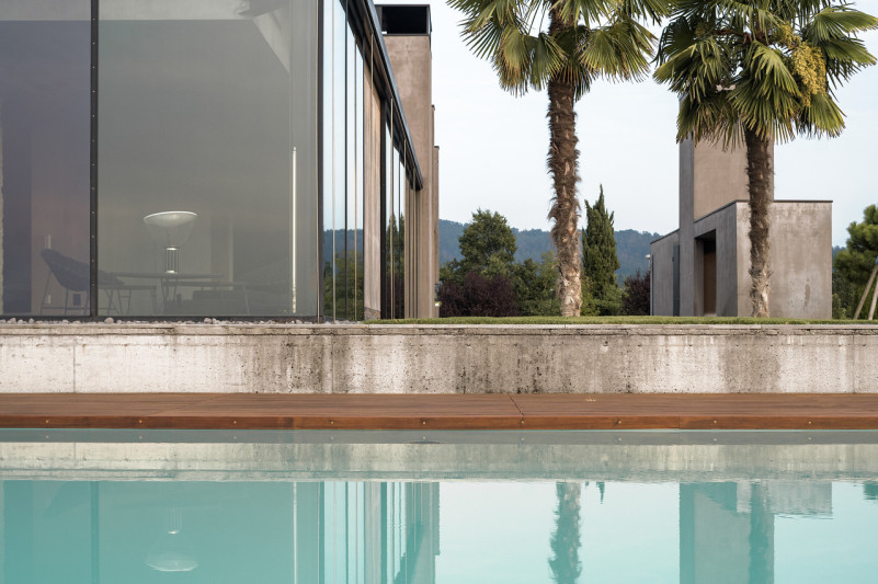 felpa74 rinoceronte 19