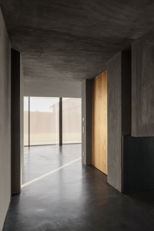 felpa74 rinoceronte 3 (1)