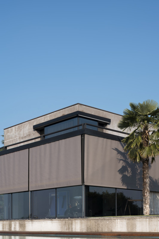 felpa74 rinoceronte 3