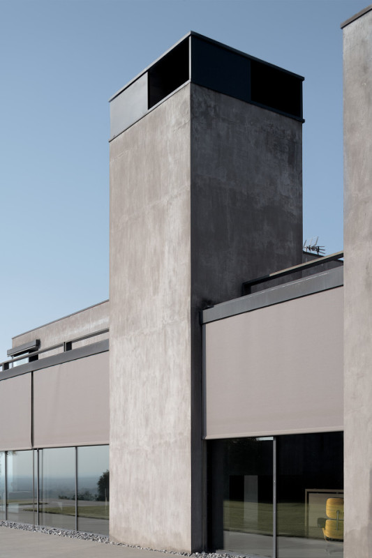 felpa74 rinoceronte 5