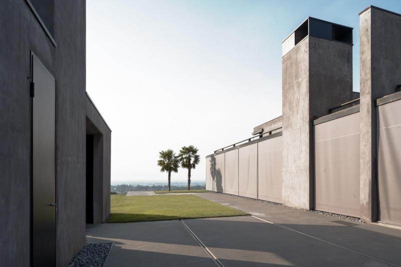 felpa74 rinoceronte 6