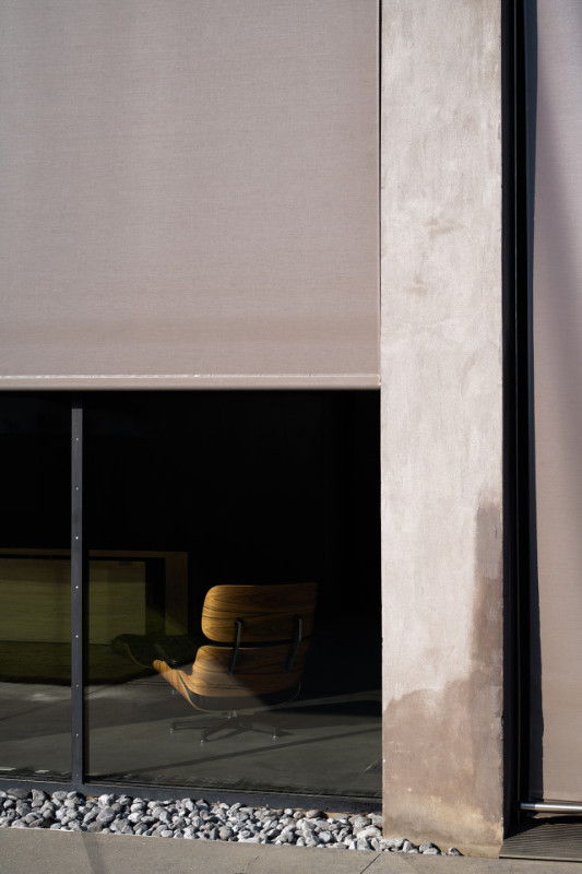 felpa74 rinoceronte 8