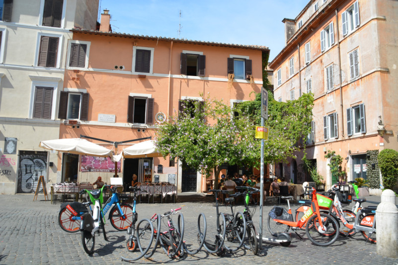 felpa74 roma classica 22