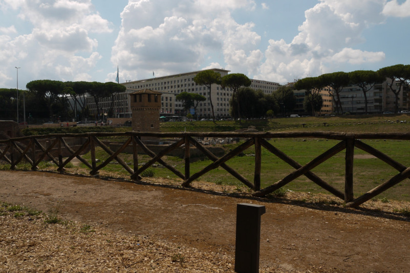 felpa74 roma classica 7