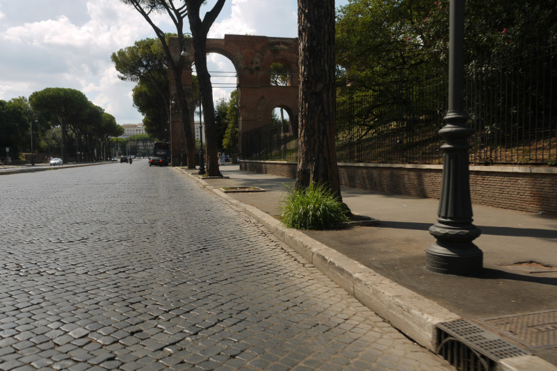 felpa74 roma classica 9