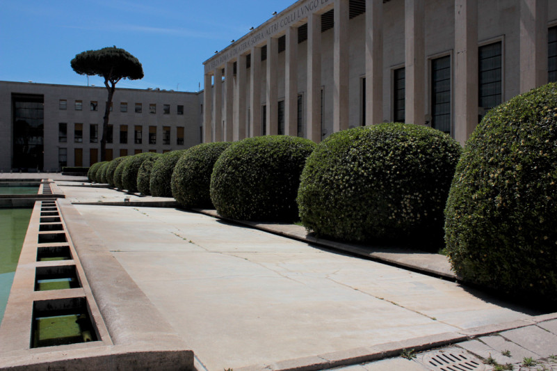 peluche74 roma razionale 29