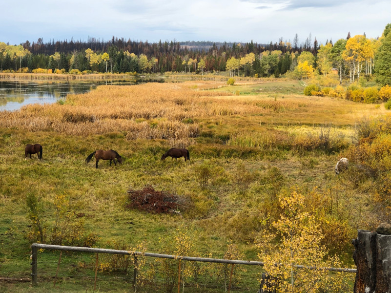 plush74 ruhige Solarhütten am Seeufer Rückzug 11