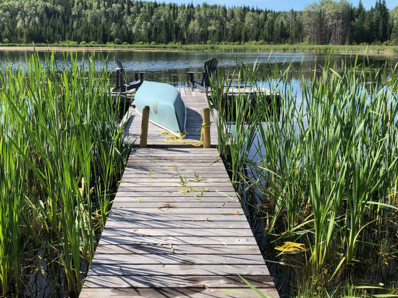 plush74 ruhigen Seeufer Solar Kabinen Rückzug 8