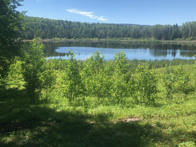 plush74 ruhigen Seeufer Solar Kabinen Rückzug 9