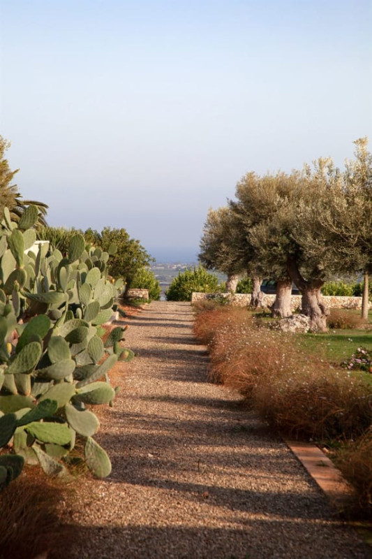 felpa74 villa siciliana falcone 21