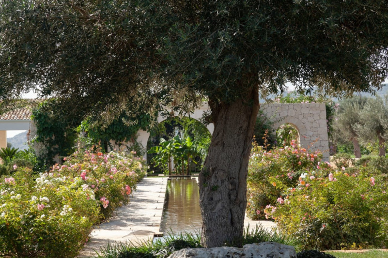 felpa74 villa siciliana falcone 28