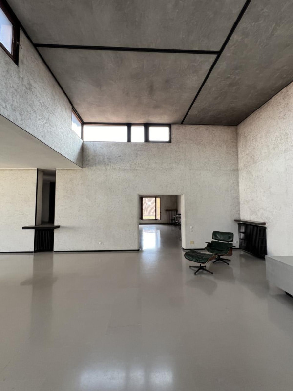 peluche74 solitudine milano 1(1)