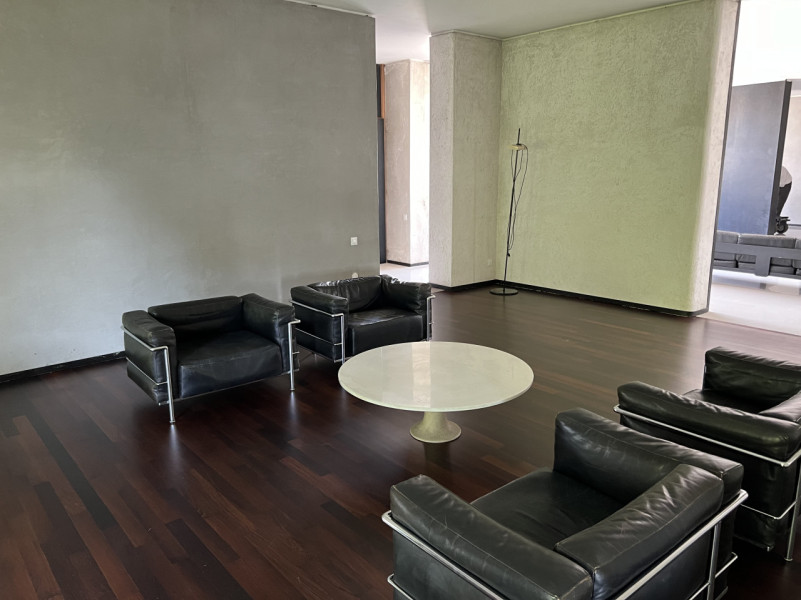 peluche74 solitudine milano 19(1)