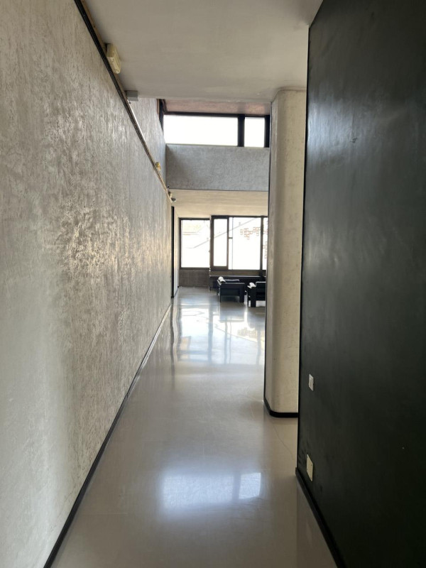 peluche74 solitudine milano 23(1)