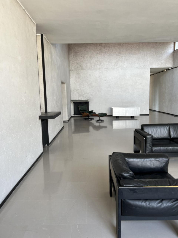 peluche74 solitudine milano 27(1)