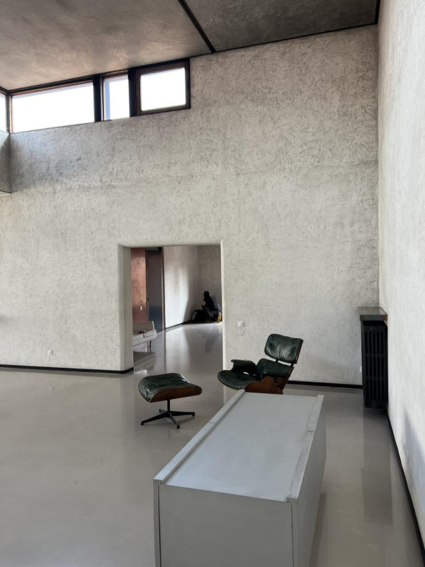 peluche74 solitudine milano 31(1)