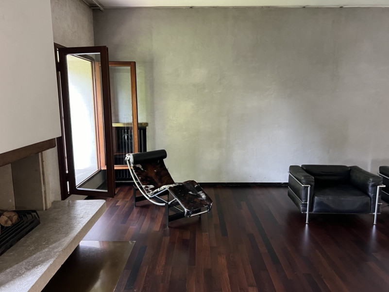 peluche74 solitudine milano 34(1)