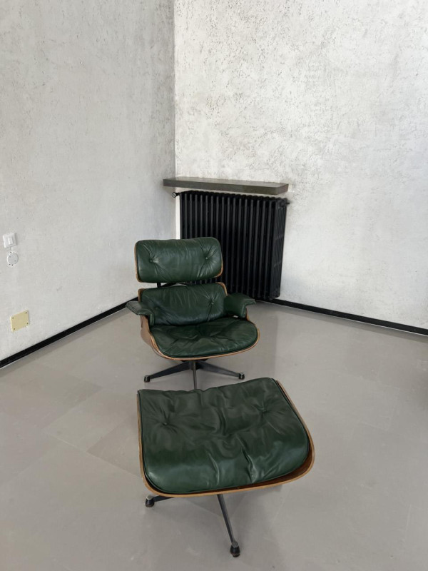 peluche74 solitudine milano 35(1)