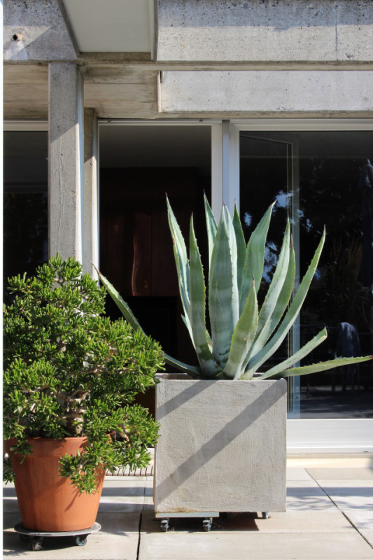 felpa74 apartamento de diseño suizo 63