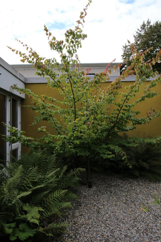 felpa74 apartamento de diseño suizo 65