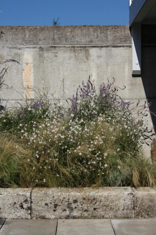 felpa74 diseño suizo apartamento 67