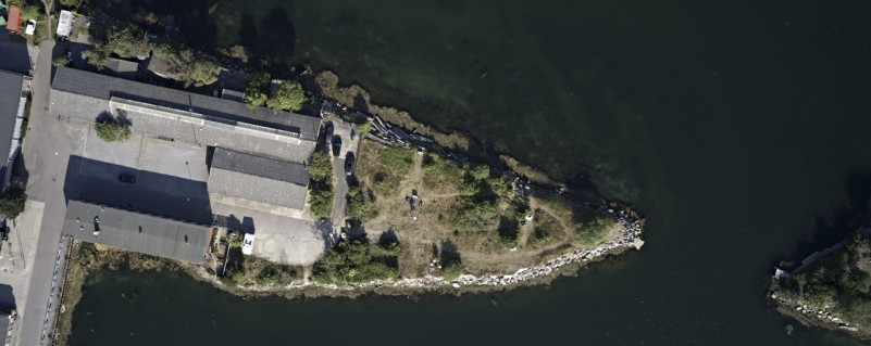 pluche74 het schiereiland studio 10(1)