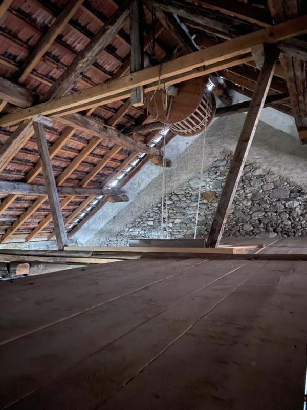 pluche74 traditioneel alpenleven 6(1)