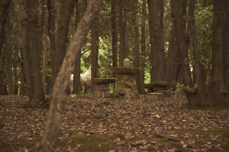 felpa74 villa en toscana 26