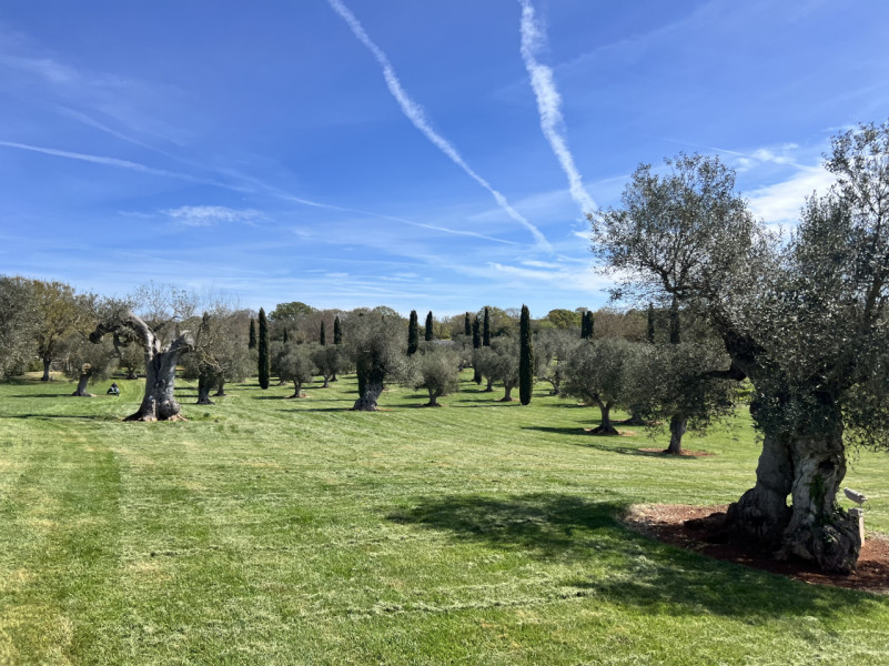 pluche74 villa ostuni 9