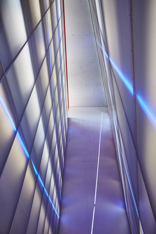 lato thiesbrummel 002