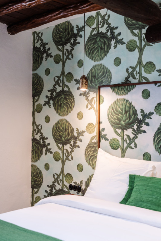 carciofo suite c ana lui 00001