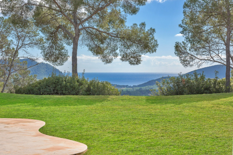 batch skye by ali framil 18