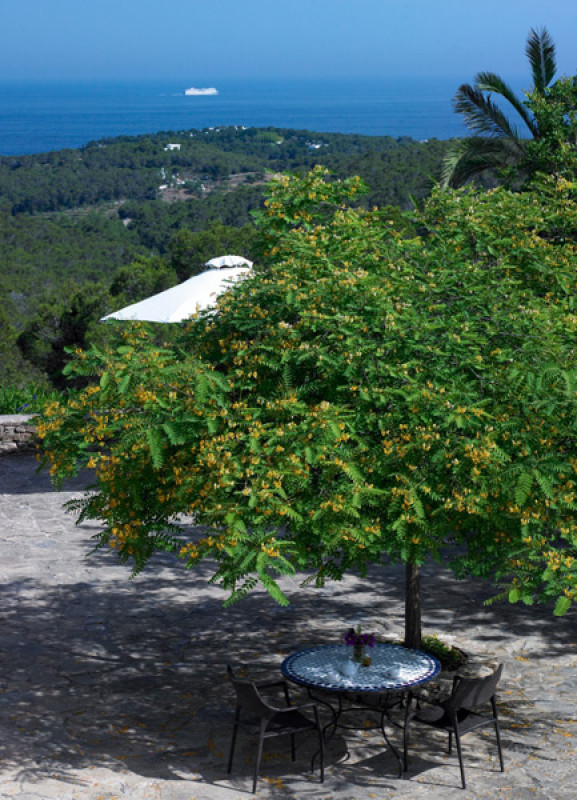 kan talaias producties locaties pluche7414