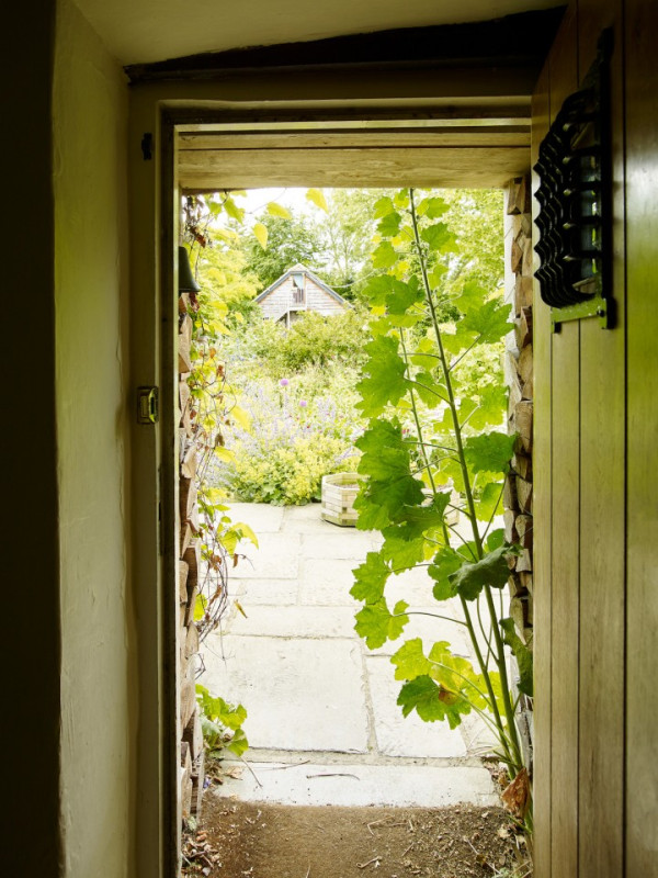 hopecottage silverstein peluche74 sedi uk22