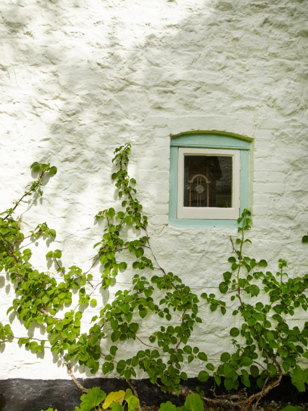 hopecottage silverstein peluche74 posizioni uk9