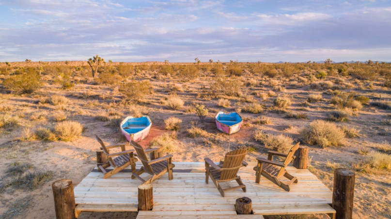 plus74 roos caasita usa joshuatree locatie26