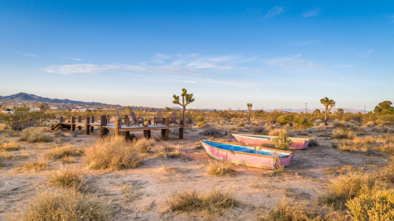 plus74 roos caasita usa joshuatree locatie28