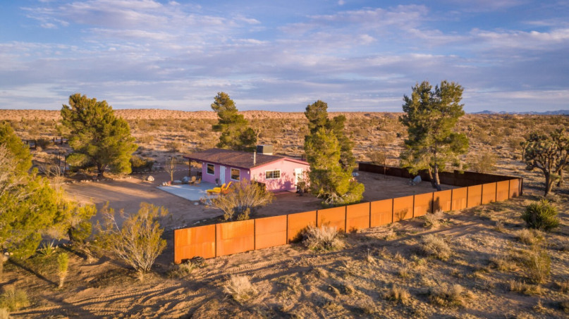 plus74 roos caasita usa joshuatree locatie29